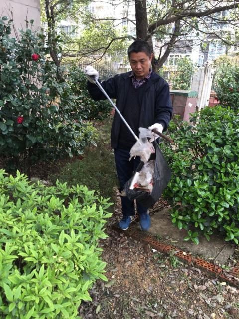 控制鼠害、预防疾病，构建协调文明社区